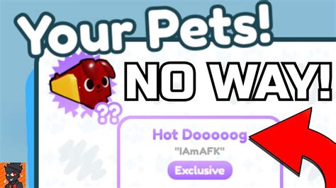 I GOT A HOT DOOOOOG Pet Simulator X YouTube