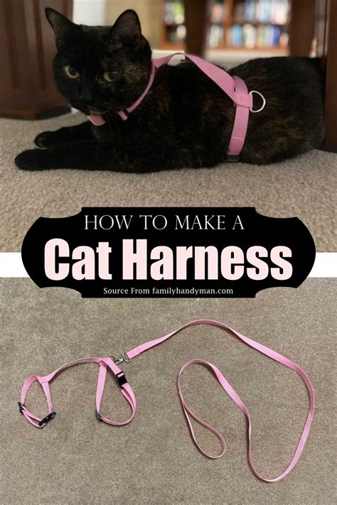 17 Diy Cat Harness Ideas To Train Your Kitties Diyscraftsy