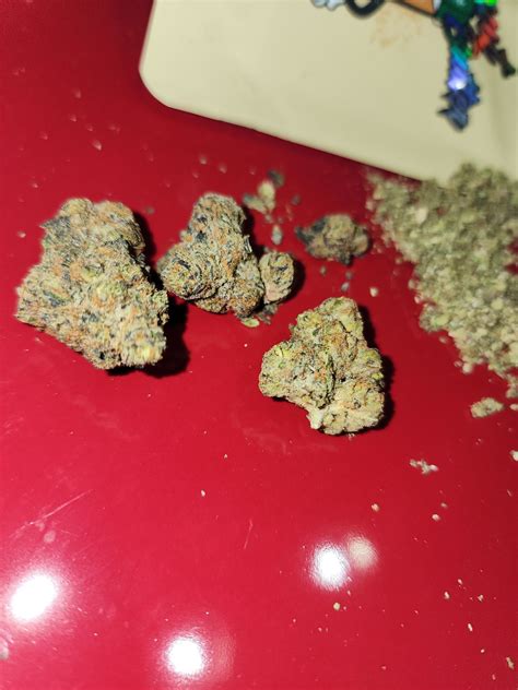 Peanut Butter Gelato Marijuana Strain Information & Reviews | AllBud