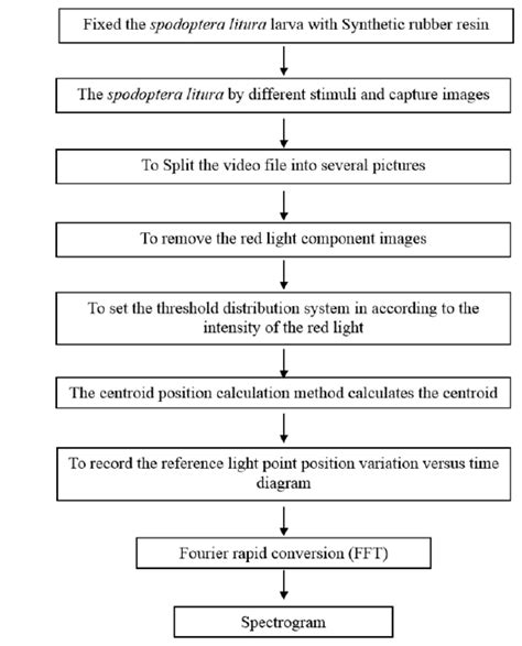 Oak Oa Current Optics And Photonics The Optical