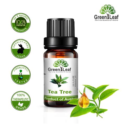 carrier oil for tea tree oil