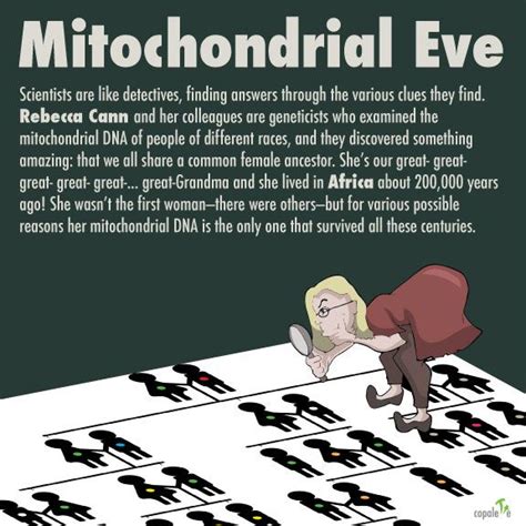 grandma discovering mitochondrial eve copalette