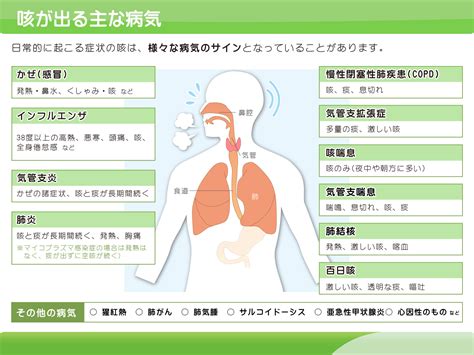 咳・ぜんそく・copd ゆみの内科クリニック┃本厚木駅前の内科（呼吸器・循環器・内科一般を診療）