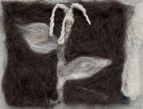 Royal Botanic Garden Edinburgh On Linkedin Fleece Felting With Fiona