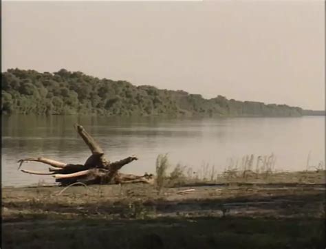 Freche Sex Abenteuer Full Movie Blowjob Porn Feat Julia Larot Xhamster