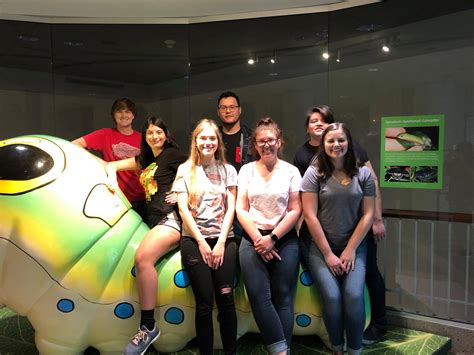 How to navigate the digital TAMU undergraduate catalog for classes 31