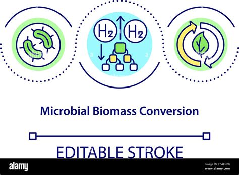 Icono De Concepto De Conversión De Biomasa Microbiana Imagen Vector De Stock Alamy