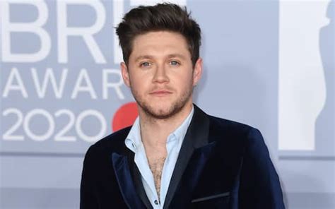 One Direction S Niall Horan Announces New Album The Show Italian Post