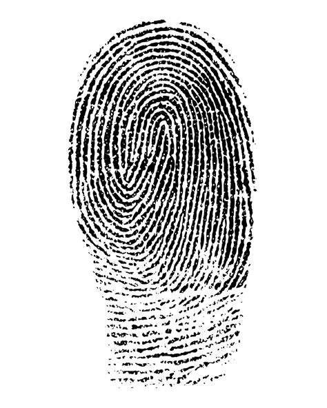 Fingerprint clearance card delays are preventing many from starting jobs 12