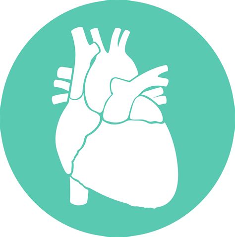 Cardiomyopathy Diagnosis - Accurate Classification of Cardiomyopathy