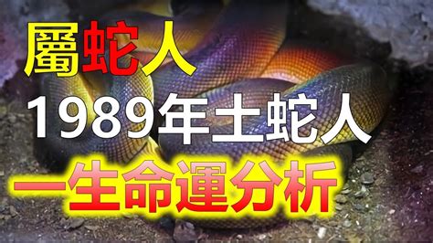 2024生肖運勢，十二生肖1989年出生的屬蛇人，一生的命運，蛇是十二生肖中最頑強的屬相，1989年出世的屬蛇的人，常會感到自己常常遭到侵害