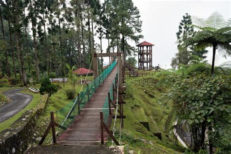 Bukit Larut Malaysia é Um Dos Atrativos Turísticos Para a Captura Que