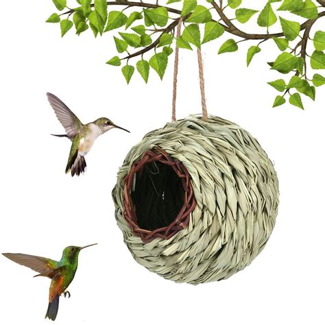 🐦Hummingbird Nest House – Kiazure