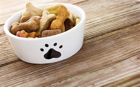 8 Best Inexpensive Dog Foods (Reviews)