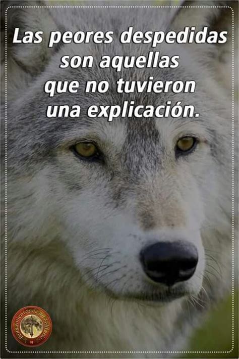 Resultado De Imagen Para Lobos Frases Frases De Lectura Frases De