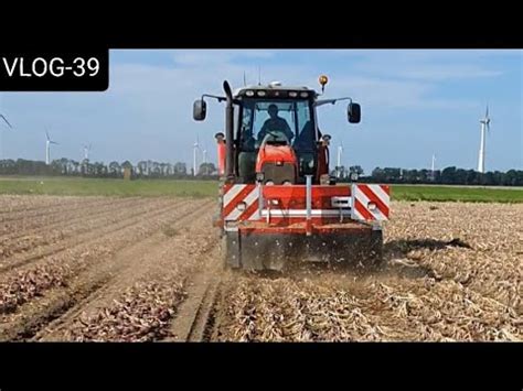 Farmvlog Uien Rooien En Aardappelen Proefrooien Youtube