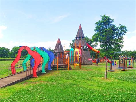 栃木県の子どもが遊べる公園9選！大型遊具や水遊び、自転車の練習ができるスポットも♪ | リビング栃木Web