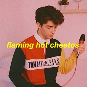 Clairo Flaming Hot Cheetos Samples Genius