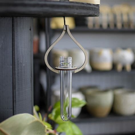 Hanging Propagation Station – Still Magnolia