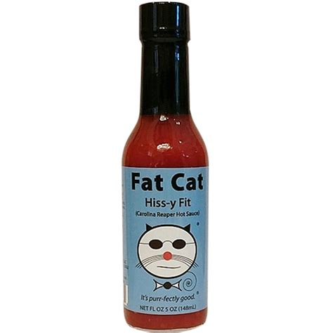 Cat pun names – Artofit