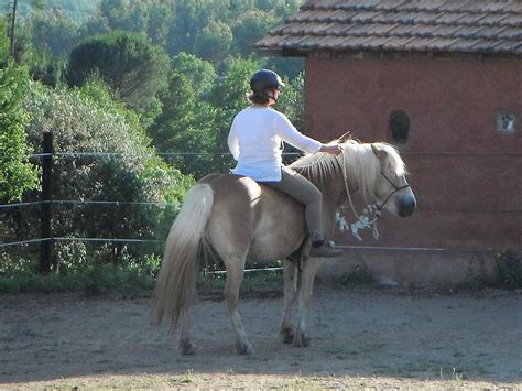 Horse Riding in Portugal | Horse riding-lessons | Portugal by Horse