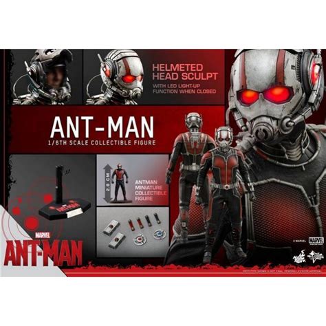 野獸國 Hot Toys MMS308 復仇者聯盟 Ant Man 蟻人 非 MMS362 MMS497 蝦皮購物
