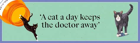 Well Prescribe You a Cat: The feel good Japanese bestselling book