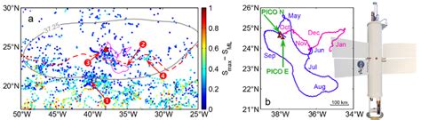 A Subsurface Salinity Maxima Are Commonly Found Throughout The