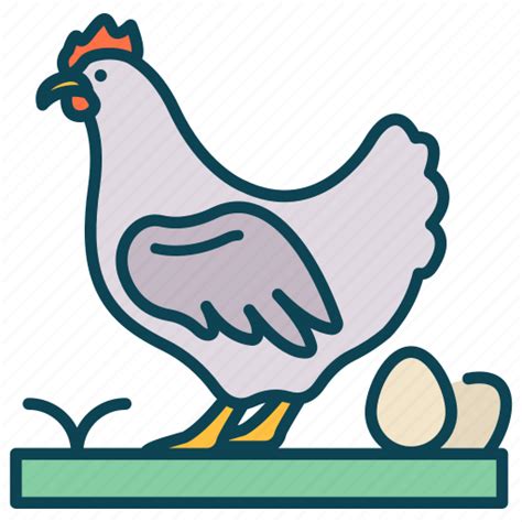 Hen Poultry Chicken Animal Farm Icon Download On Iconfinder