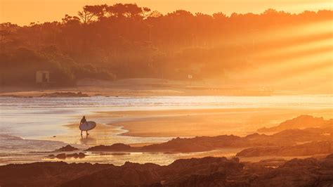 Surfer At La Barra Beach At Sunset Punta Del Este Maldonado