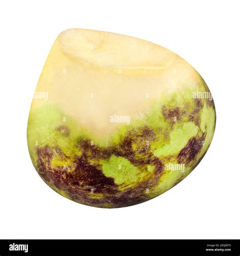 1 Rutabaga Swede Isolated On White Background Stock Photo Alamy