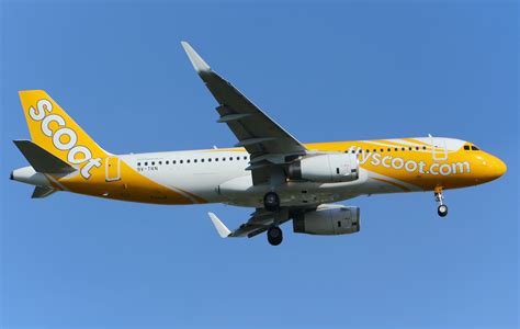 scoot axes   flights   weeks   march  miles