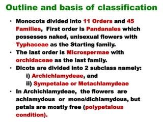 Engler Prantl System Of Classification Ppt