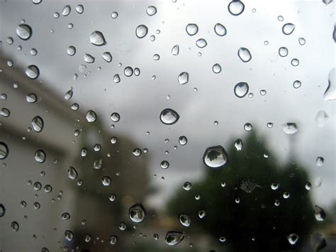 rain  window   stock photo public domain pictures