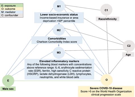 Basic Causal Diagram Of The Relationship Between Male Sex And Covid 19