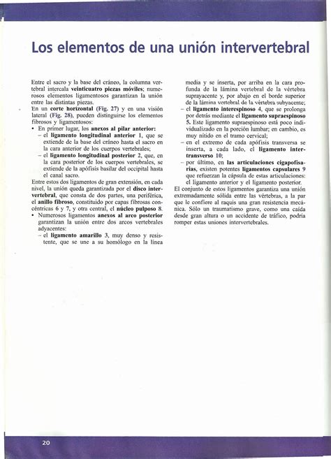 Fisiologia Articular Kapandji A Ed Pdf