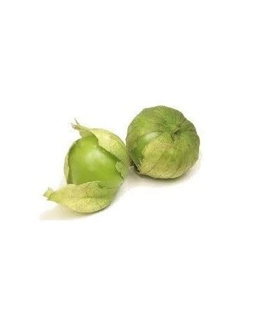 Comprar Semillas De Tomatillo Verde Physalis Ixocarpa