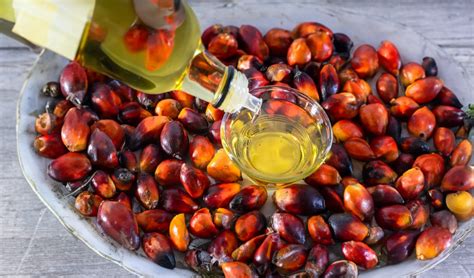 Natural Habitats Group Blog Archive How To Find Organic Palm Oil