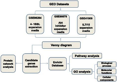 Schematic Pathway Of Bioinformatics Analysis Download Scientific Diagram