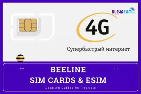 Best Beeline Russia SIM Card and eSIM in 2024