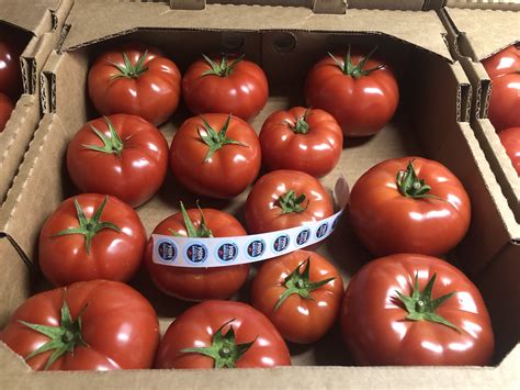 Local, Organic Wholesale — Red Hawk Farm