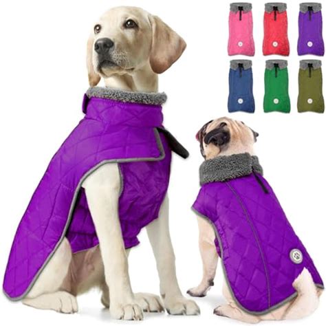 Abrigo Impermeable Para Perros Los Mejores Productos Comparados