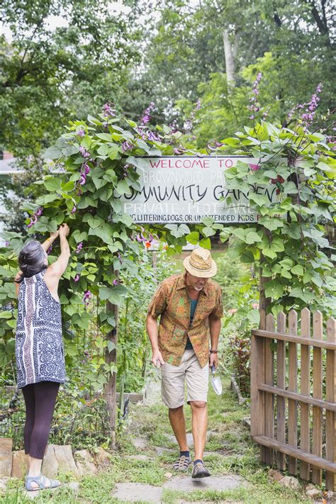On the Grid : Brownwood Park Community Garden