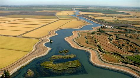 Ekogeo Delta Pulau Hasil Sedimentasi Sungai