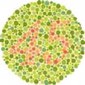 original color image   simulation results   types