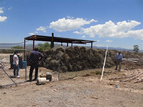 Lo que nos brinda el suelo | Comisión Nacional Forestal | Gobierno | gob.mx