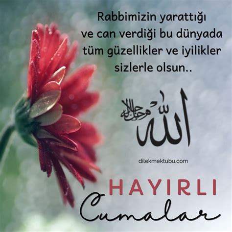 Cuma Mesajları / En Yeni Resimli Cuma Sözleri - Dilek Mektubu