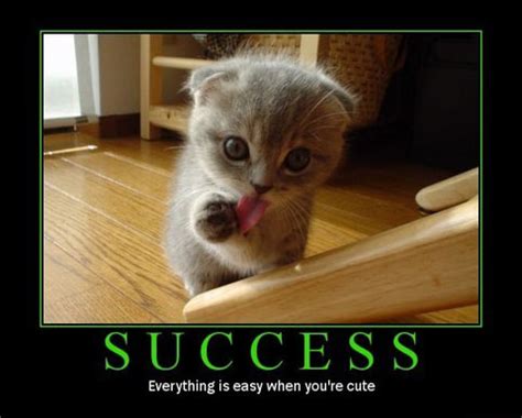 cat-inspirational-poster_14 – Thoughtware.com