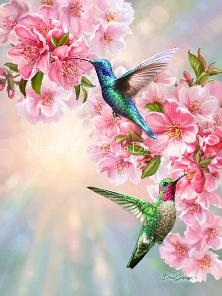 Hummingbirds In Spring Gelsinger Dona Heaven And Earth Designs