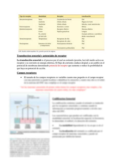 Solution Resumen De Neurofisiologia Endocrino Y Sexual Libro Linda